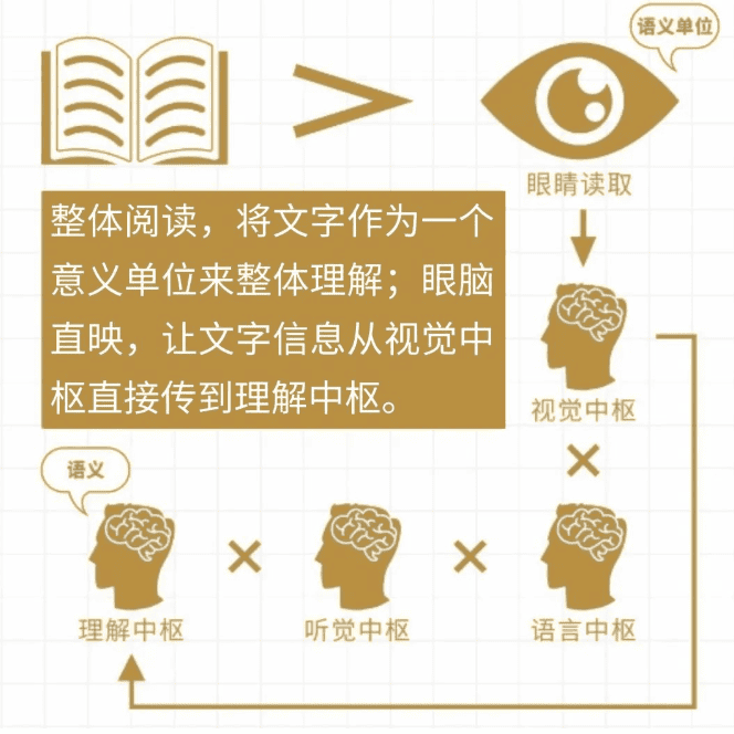 脑力中国高效阅读术-提升孩子阅读效率，提高专注力！