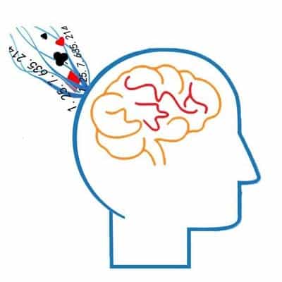 脑力开发真的假的(大脑科学：如何提高智力和创造力？)